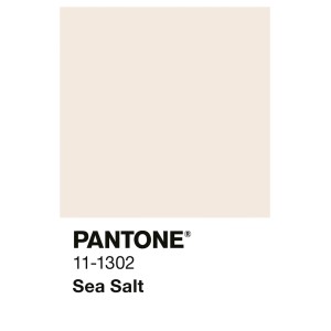 Alpina Innenfarbe Pantone Sea Salt. Beiger Farbton 11-1302 für Wände. Bunte Wandfarben.