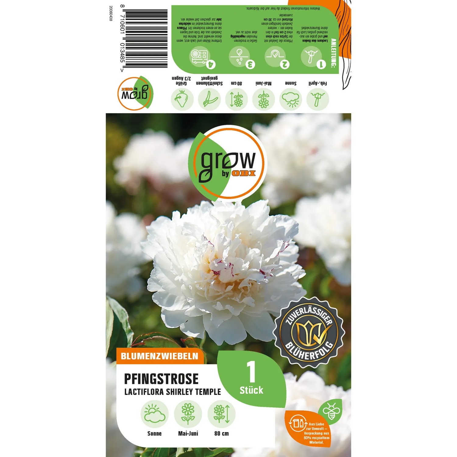 GROW by OBI Pfingstrose Lactiflora Shirley Temple, weiße Blüte. Blumenzwiebel für Beet und Garten.