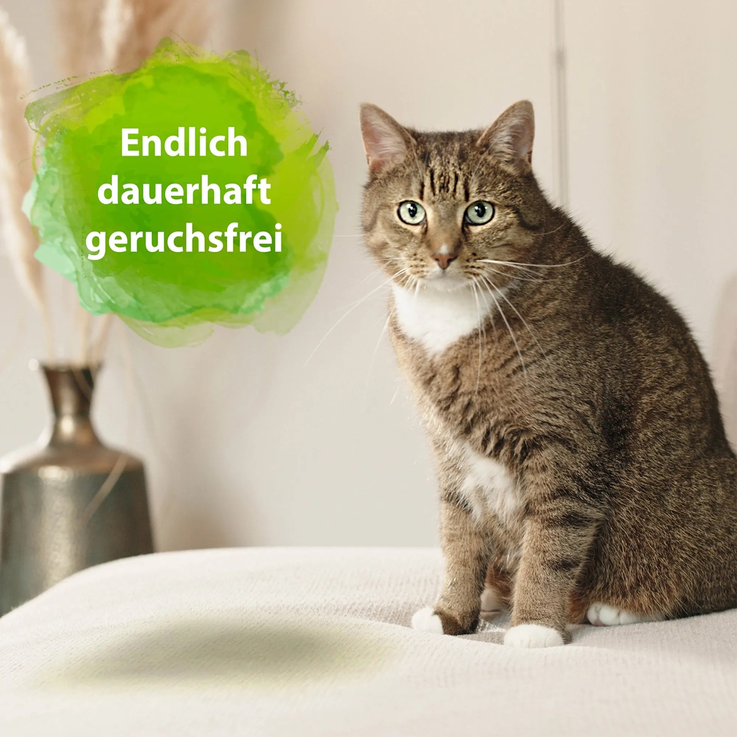 Bactador Katzenurin Geruchsentferner 150 ml kaufen bei OBI