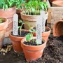 Weiße Kunststoff-Stecketiketten in Töpfen mit jungen Tomatenpflanzen. Ideal für Garten, Anzucht, Kräuterbeet.