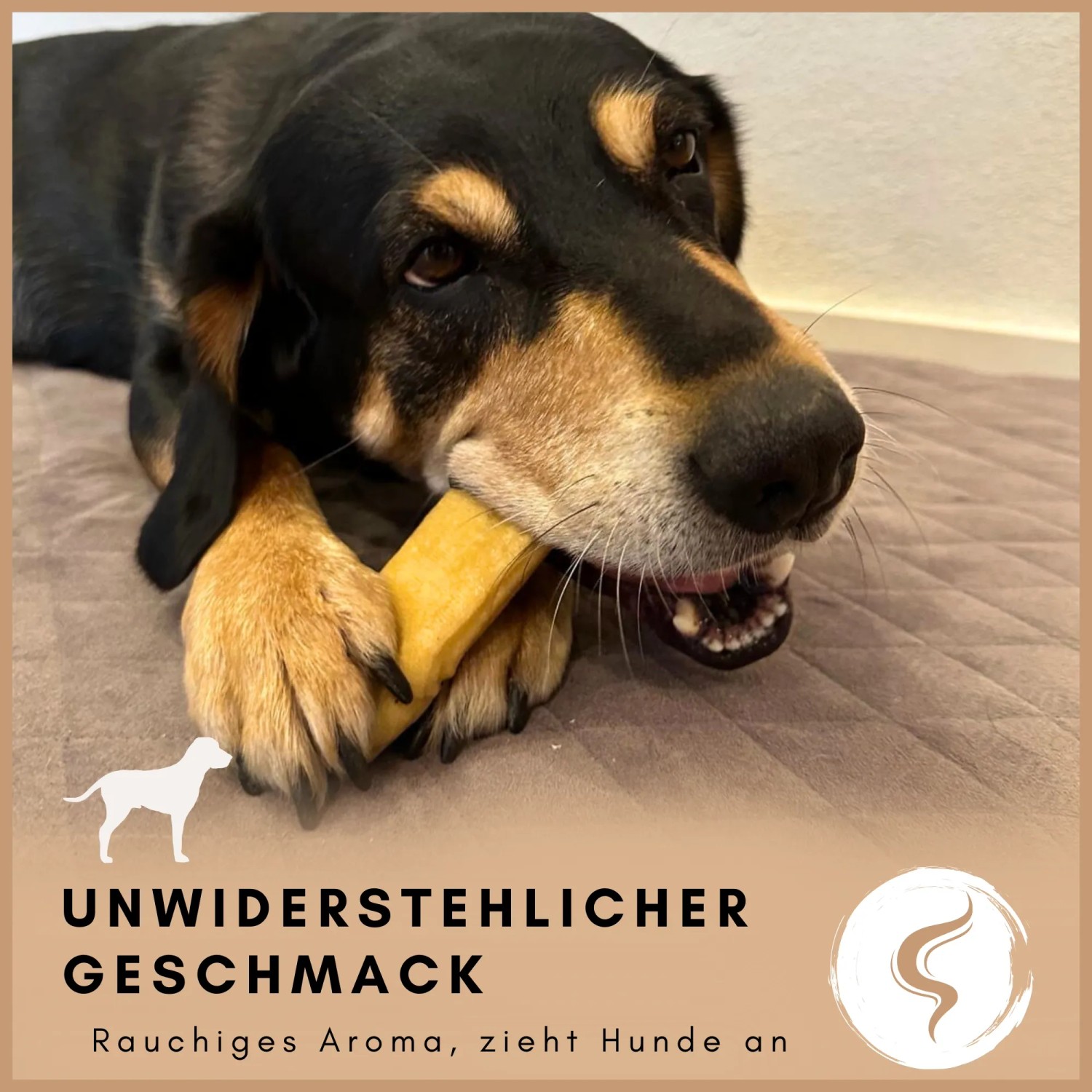 Supravit Yak Kaukäse Größe XL 3er Pack für Hunde_3