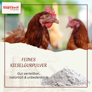 Supravit Kieselgur für Hühner