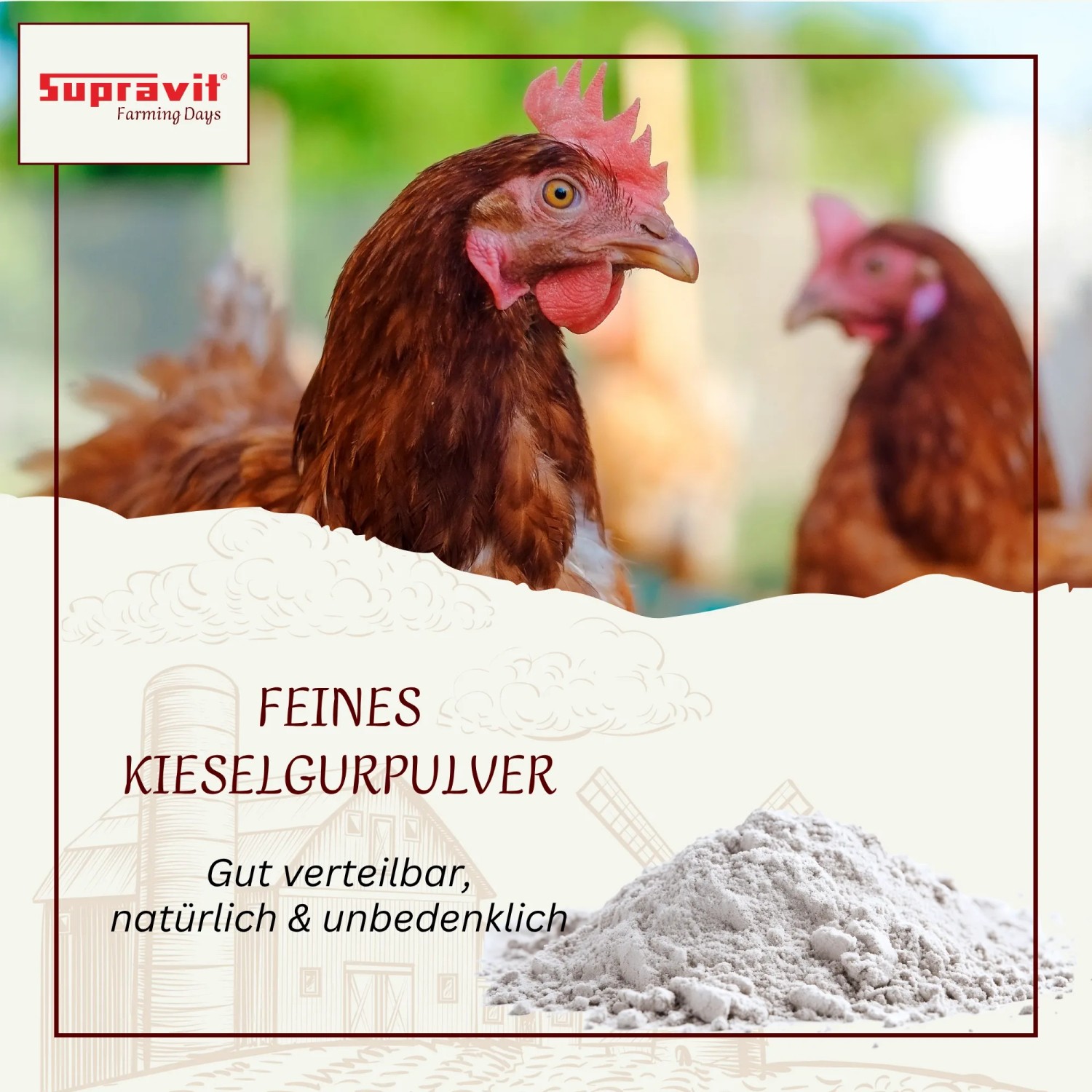 Supravit Kieselgur für Hühner_3
