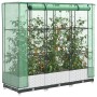 vidaXL Hochbeet mit Gewächshaus-Aufsatz in Rattan-Optik, bepflanzt mit Tomaten.