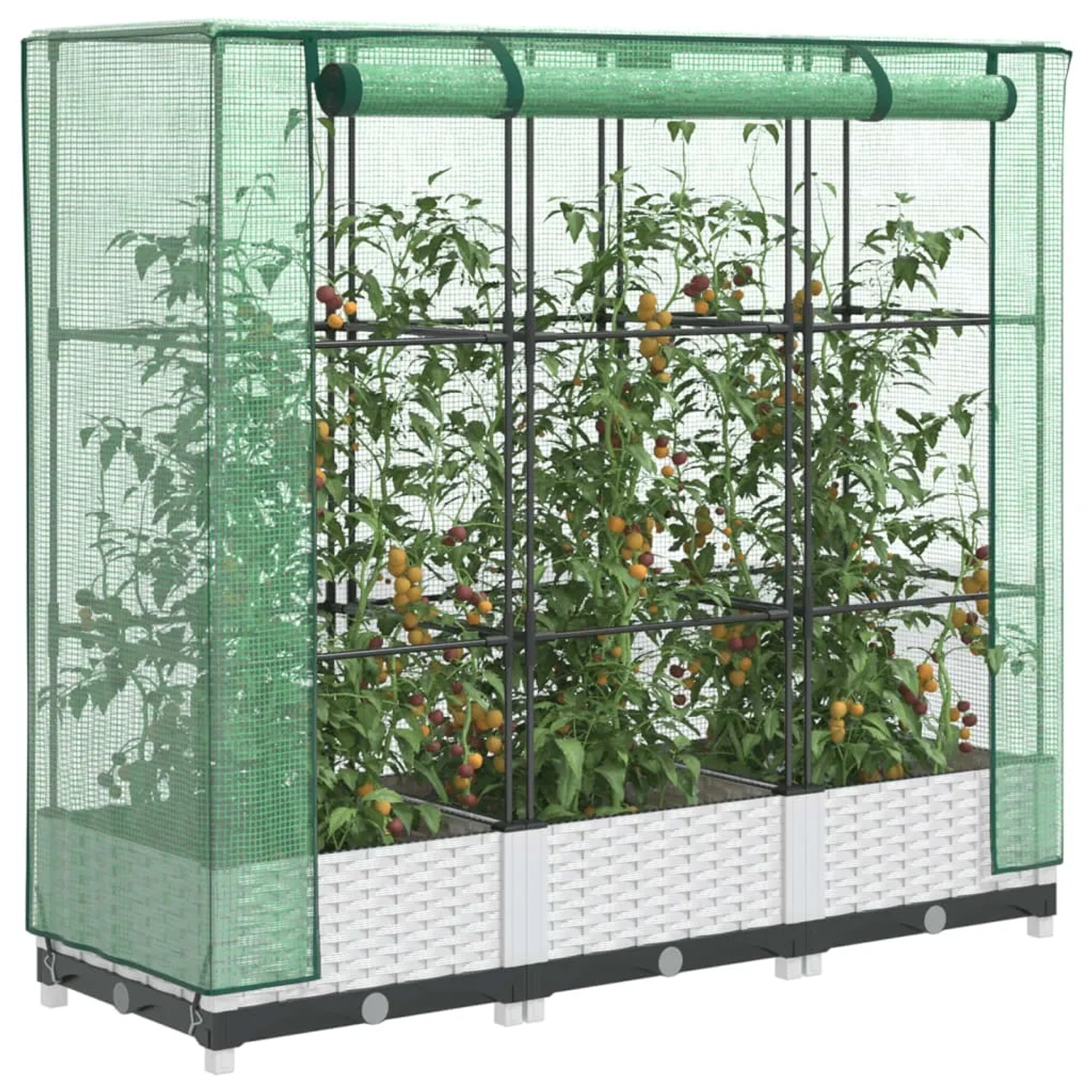 vidaXL Hochbeet mit Gewächshaus-Aufsatz in Rattan-Optik, bepflanzt mit Tomaten.