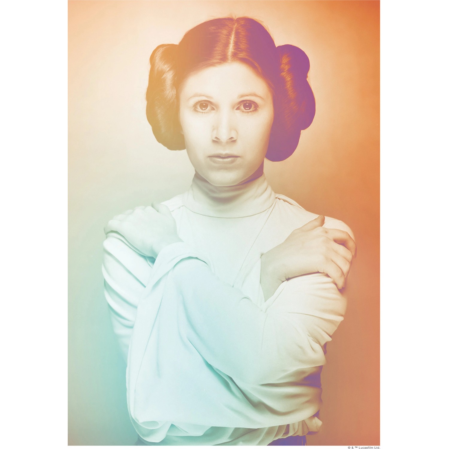 Disney Poster Star Wars Leia Orange und Grün 30 x 40 cm 611657 günstig online kaufen