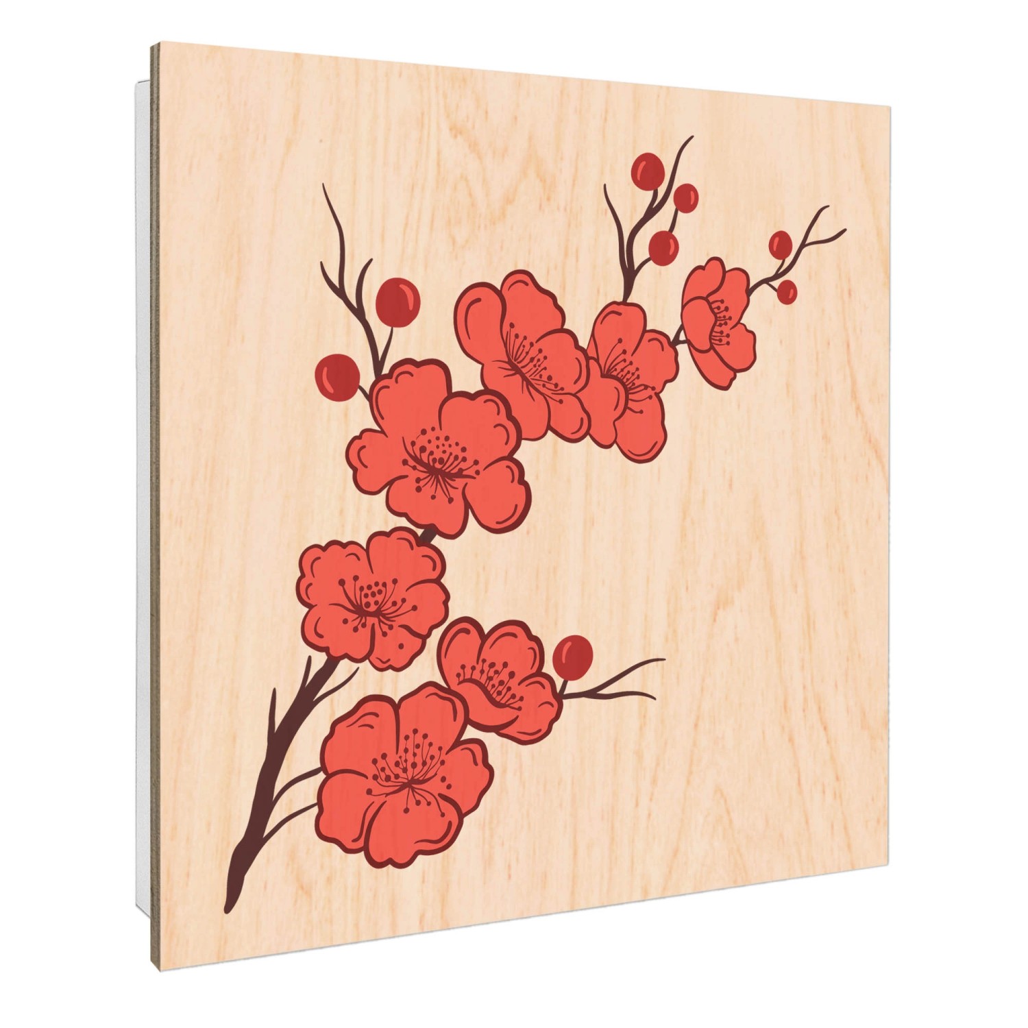 Banjado Schlüsselkasten mit Holzfront 30x30cm Weiß Scharnier Links 50 Haken günstig online kaufen
