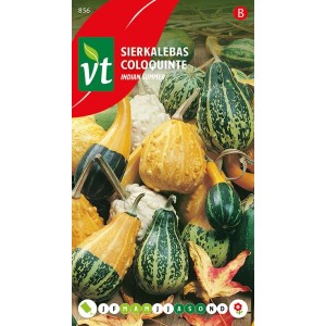 Zierkürbis 'Indian Summer Mix' Samen Ca. 2 g Bunte Früchte