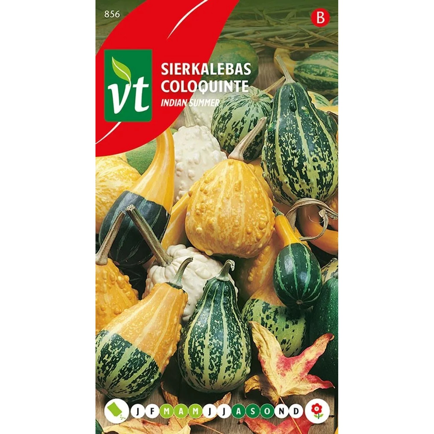 Zierkürbis 'Indian Summer Mix' Samen Ca. 2 g Bunte Früchte