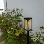 Moderne, mattschwarze Lutec LED Solar Wegeleuchte Flair im Garten zwischen Pflanzen.