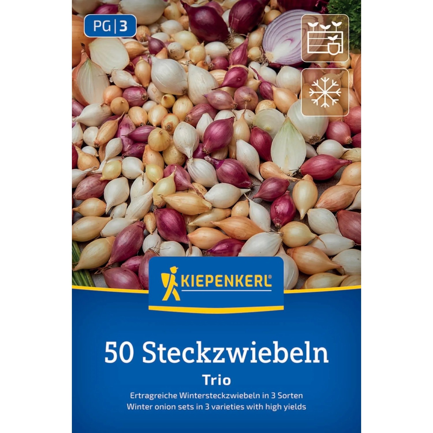 Kiepenkerl Steckzwiebeln Wintersteckzwiebel Trio-Mix 50 Stück