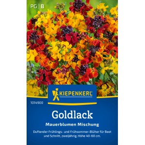Kiepenkerl Goldlack Mauerblumen Mischung mit gelben, roten und braunen Blüten.