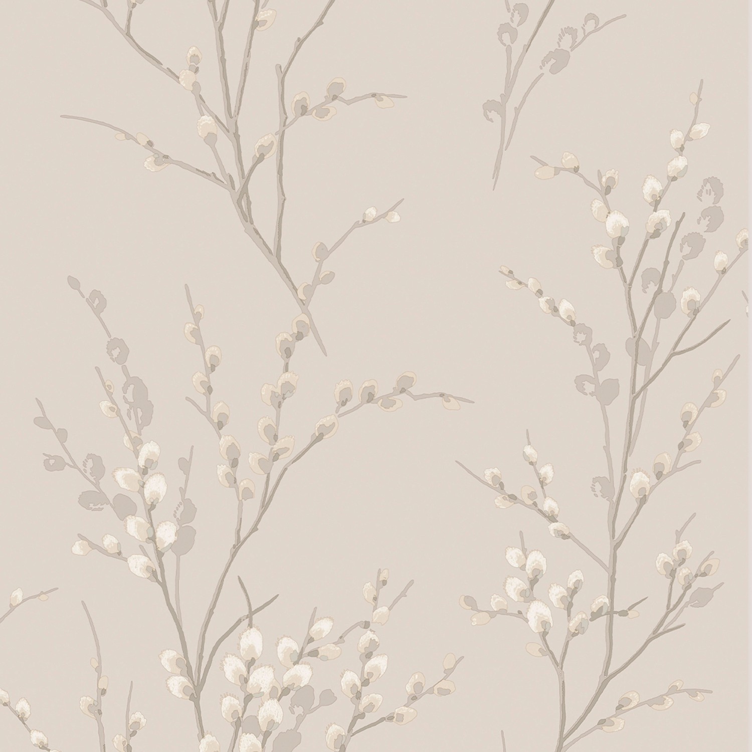 Laura Ashley Vliestapete Pussy Willow Dove Grey 10,05 x 0,52 m günstig online kaufen