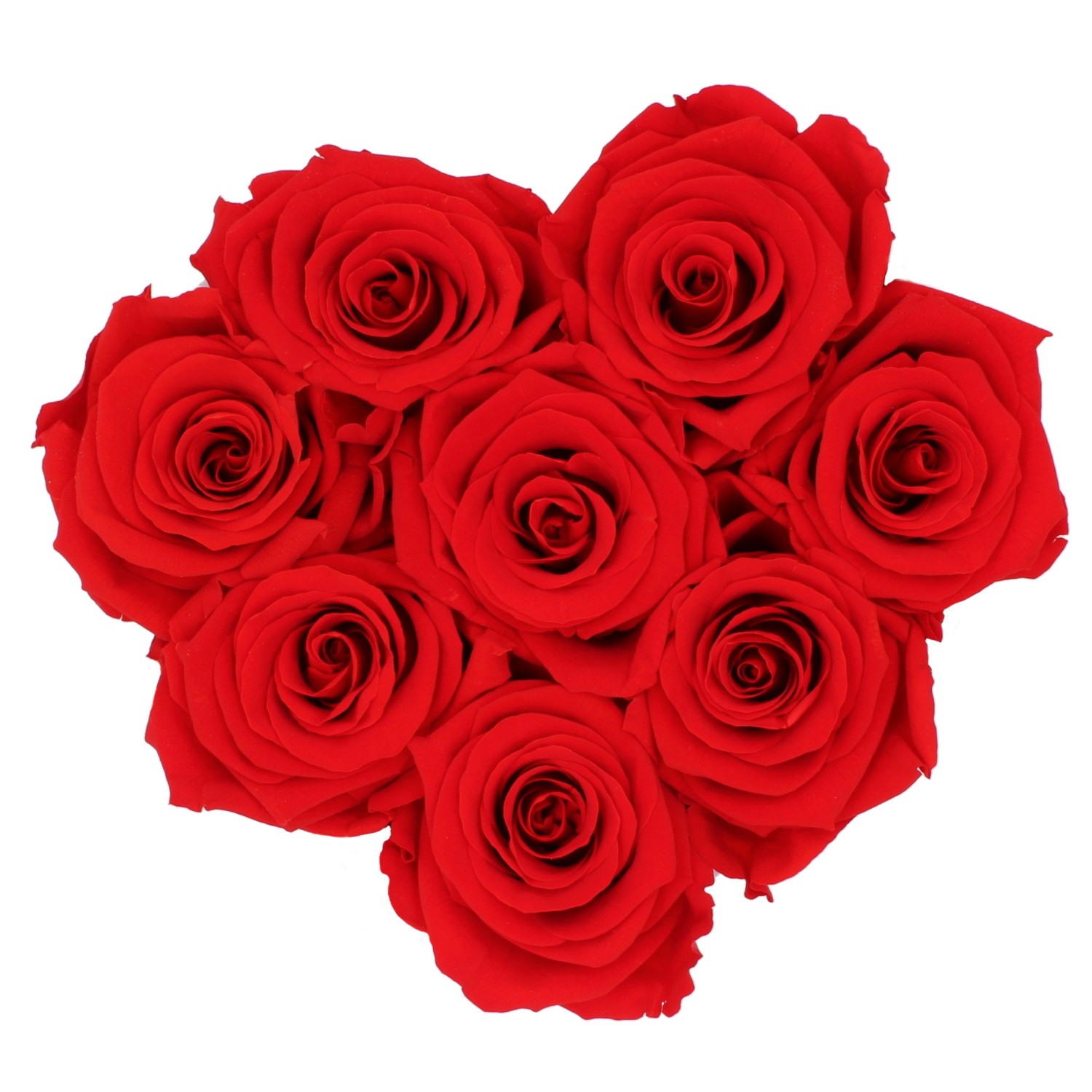 Rosenbox Herz mit 8 roten Rosen und Schleife. Romantischer Blumenstrauß.