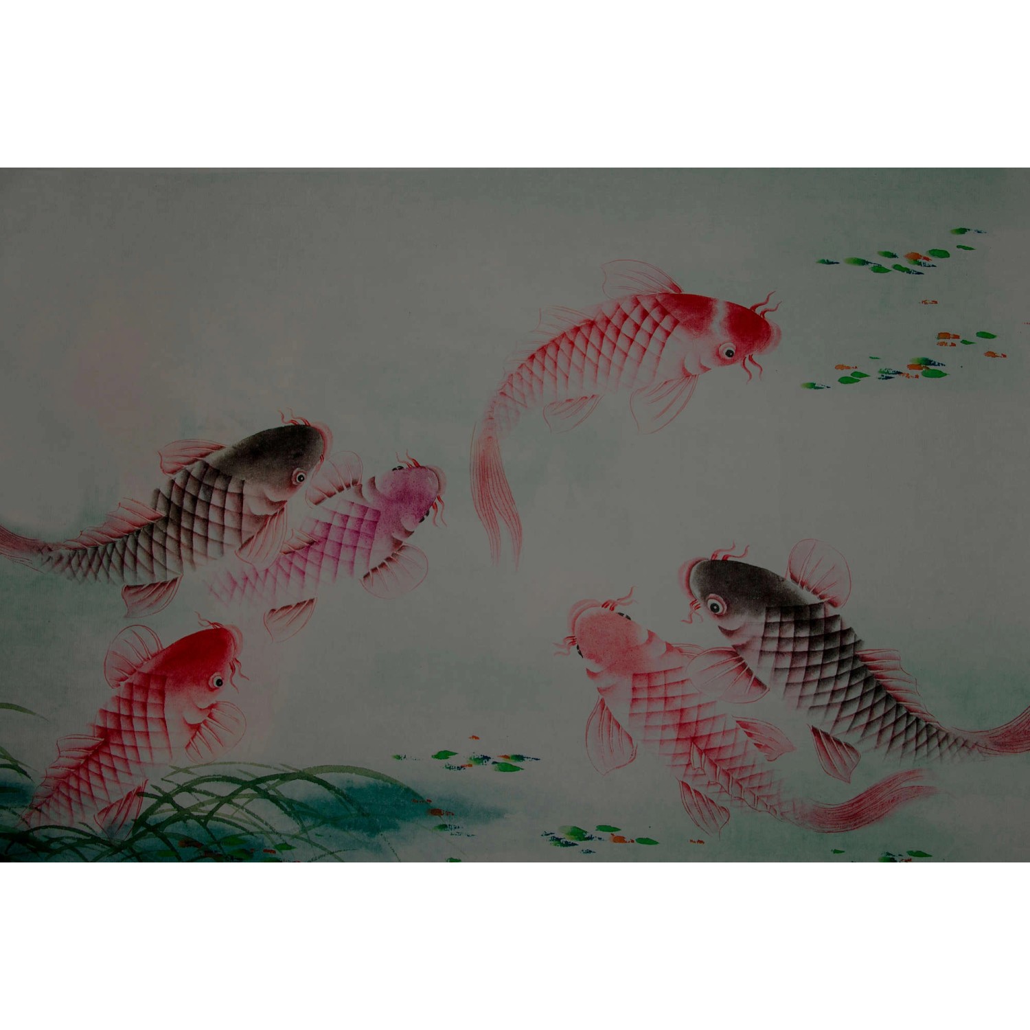Fototapete Fische Koi Karpfen Rot Rosa Grün Grau 4,00 m x 2,70 m FSC®