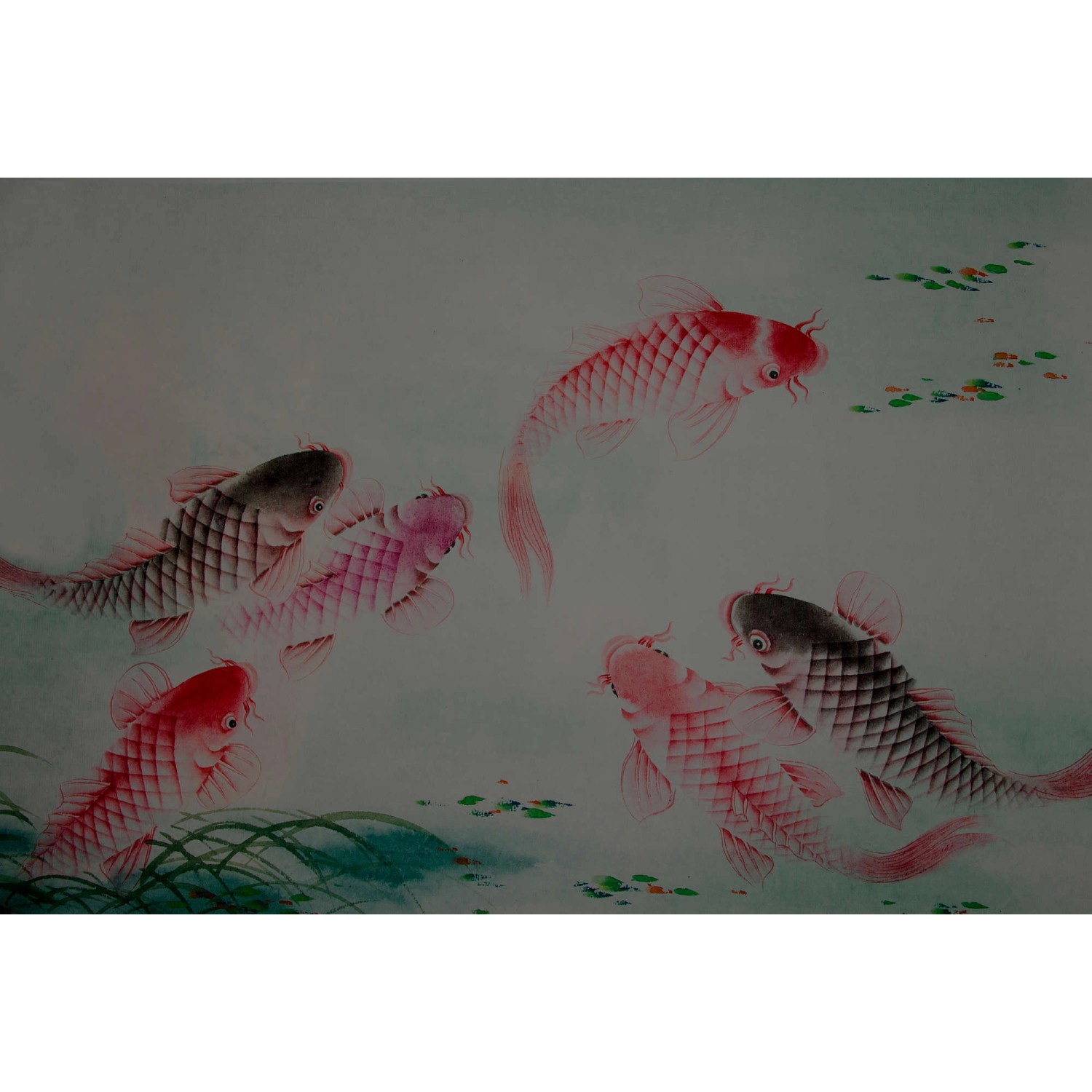 Fototapete Fische Koi Karpfen Rot Rosa Grün Grau 4,00 m x 2,70 m FSC® günstig online kaufen