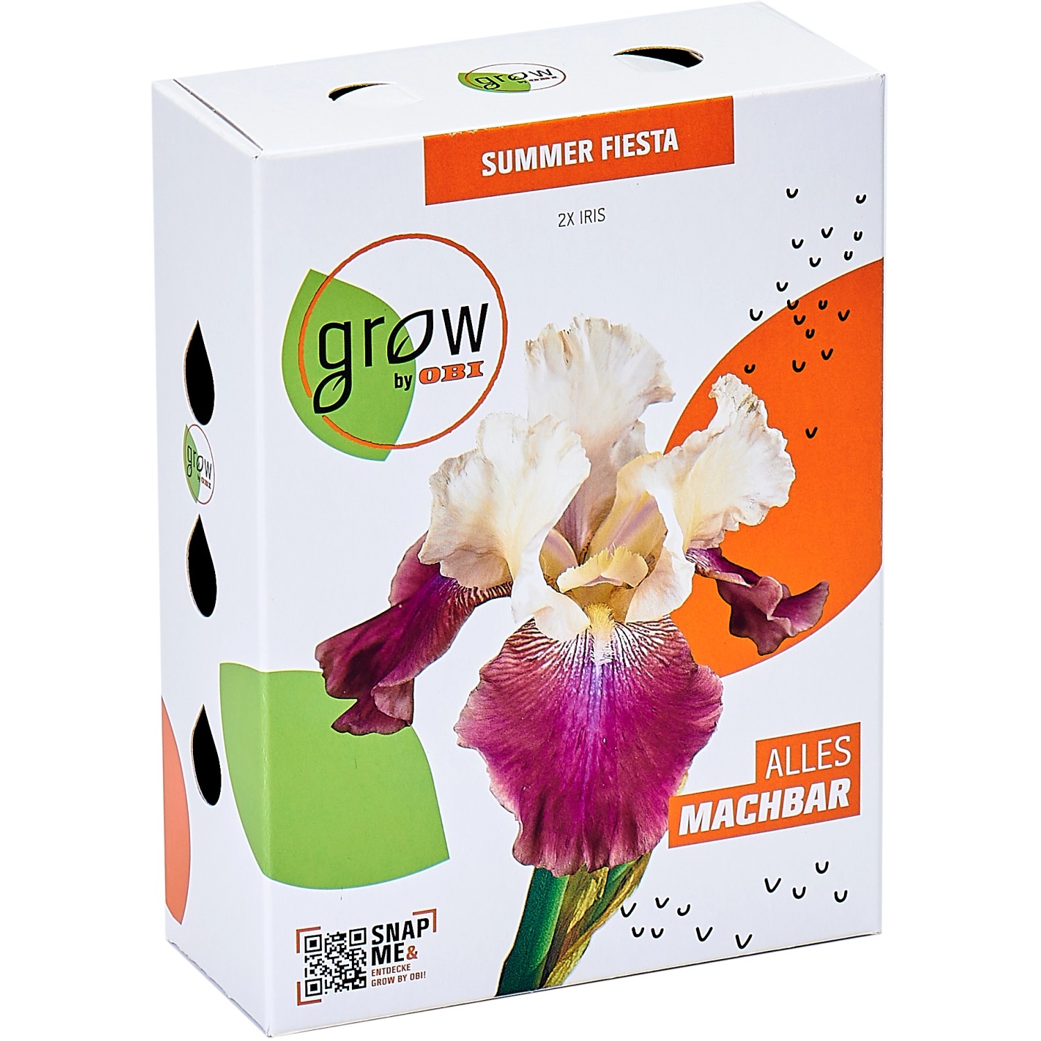 GROW by OBI Iris "Summer Fiesta" Lila/Weiß kaufen bei OBI