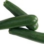 Frische, grüne Zucchini von Grow by OBI, ideal für Salate und Gemüsepfannen.