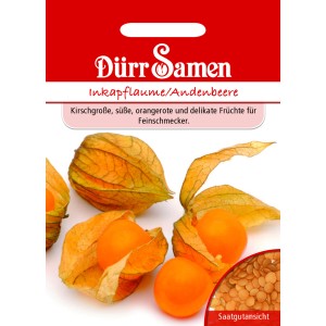Dürr Samen Inkapflaume/Andenbeere: Saatgut mit orangefarbenen Früchten und Samenvorschau.