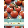 Frische, rote Stabtomaten Harzfeuer F1 am Stiel. Pabst Keimkraft Gemüsesamen für reiche Ernte.