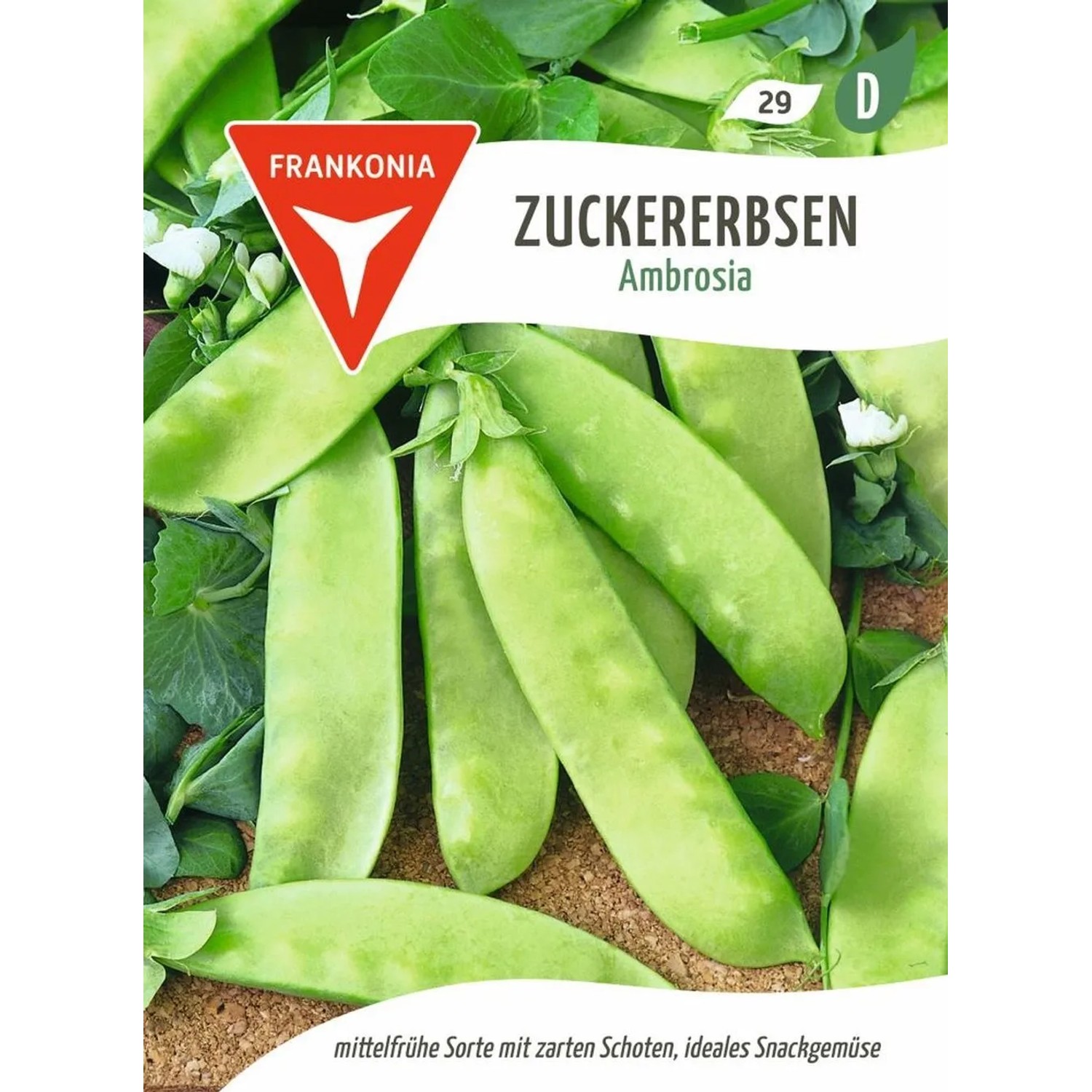 FRANKONIA Zuckererbse Ambrosia