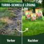Vorher/Nachher: Rasenfläche mit Compo Rasendünger Turbo, für schnelles Wachstum und einen grünen Rasen.