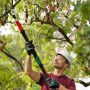 Mann schneidet Ast mit Bosch Akku-Baumschere Advanced Prune 18V-45 inkl. Verlängerung.