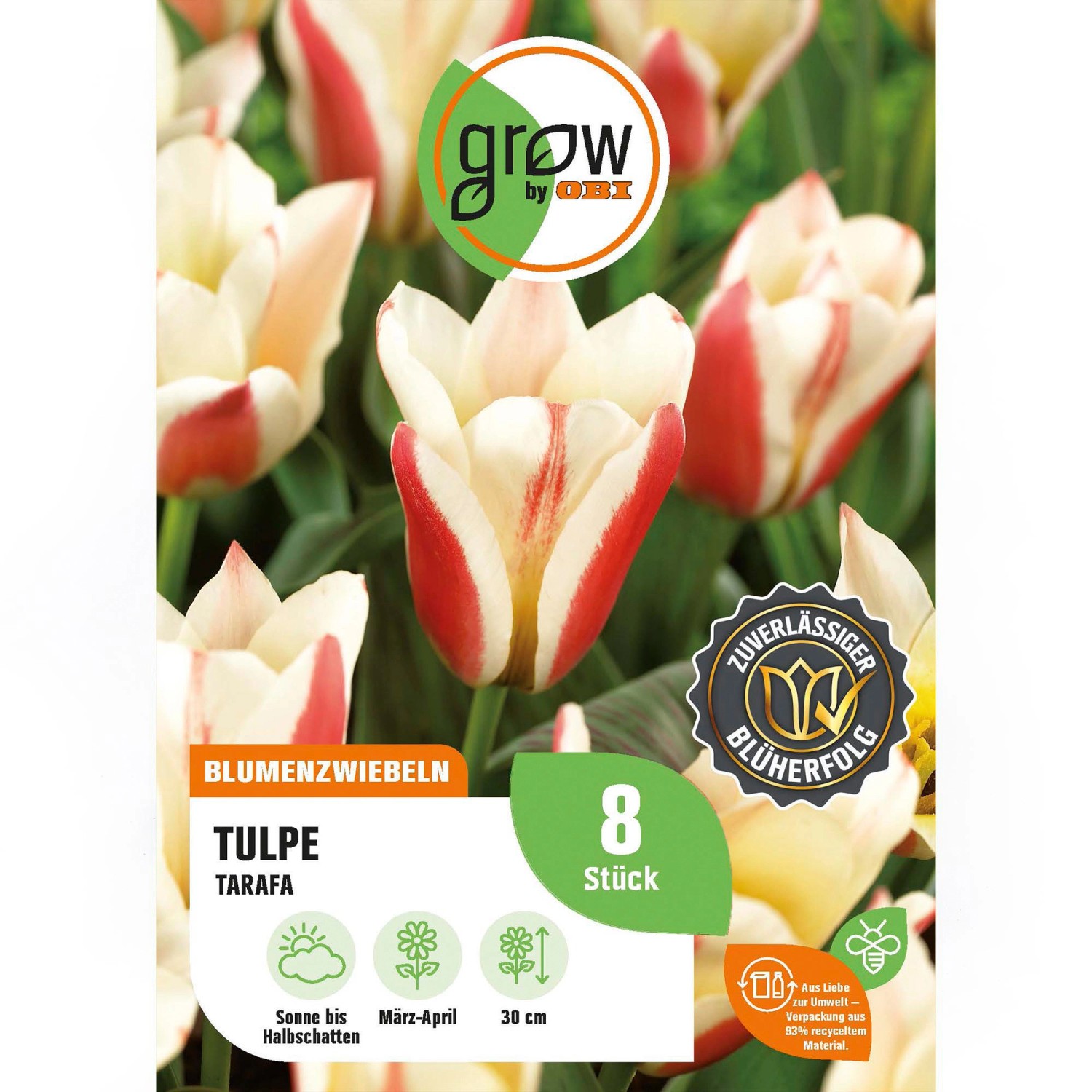 GROW by OBI Tulpe Tarafa Rot-Weiß 8 Stück Tulipa greigii Tarafa günstig online kaufen