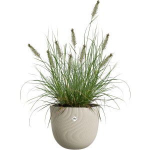 Beiger Elho Blumentopf Sereh (Ø 30 cm) mit Ziergras für Innen- und Außenbereich.