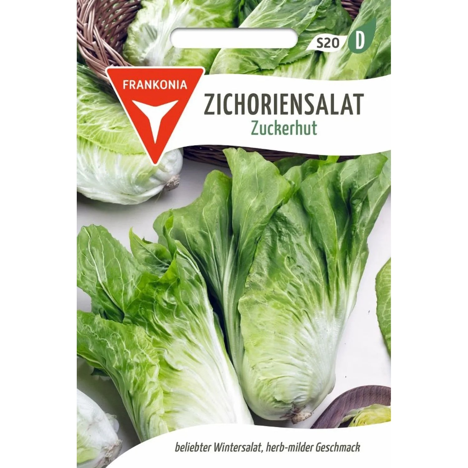FRANKONIA Zichoriensalat Zuckerhut