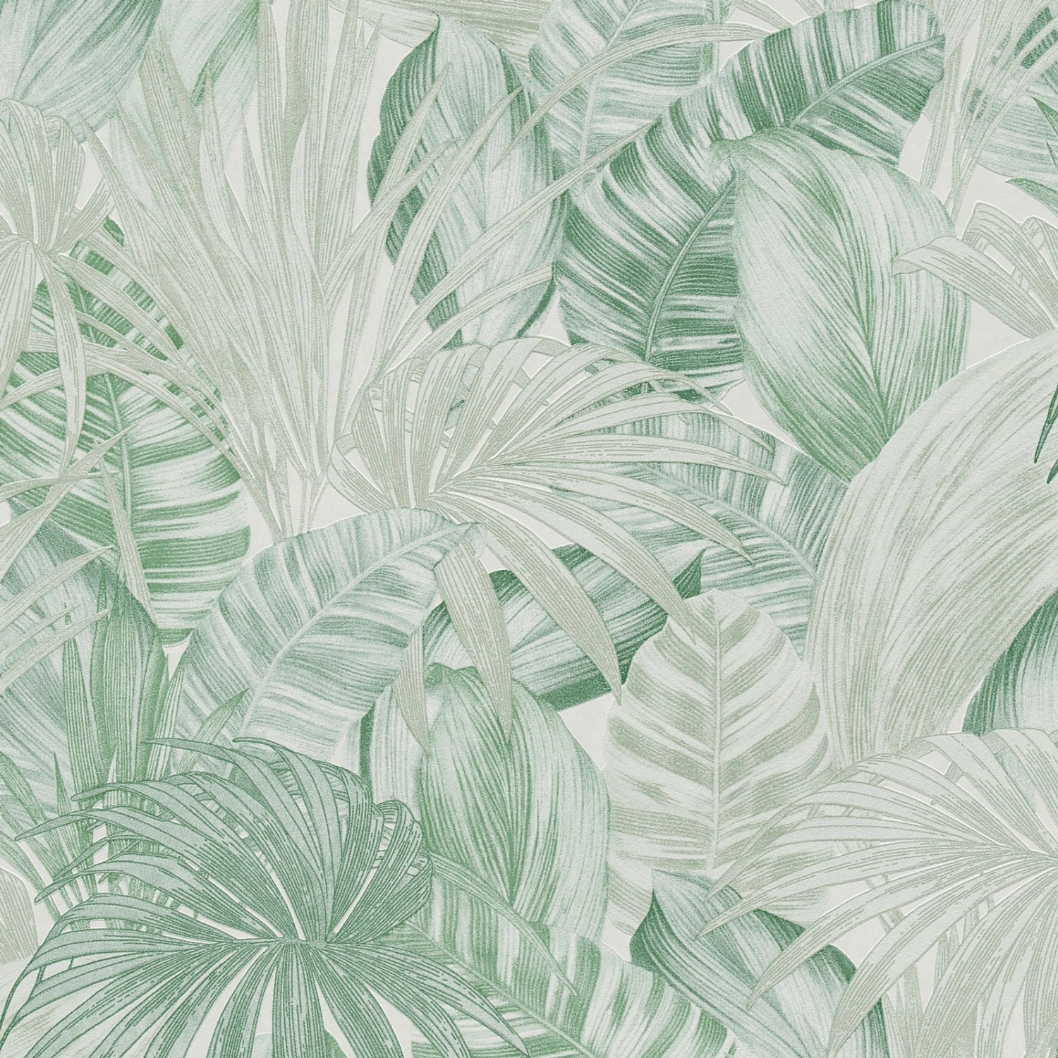 Bricoflor Pastell Tapete mit Palmenblättern Tropical Vliestapete in Hellgrün für Schlafzimmer und Flur Moderne Palmen Wandtapete mit Vinyl
