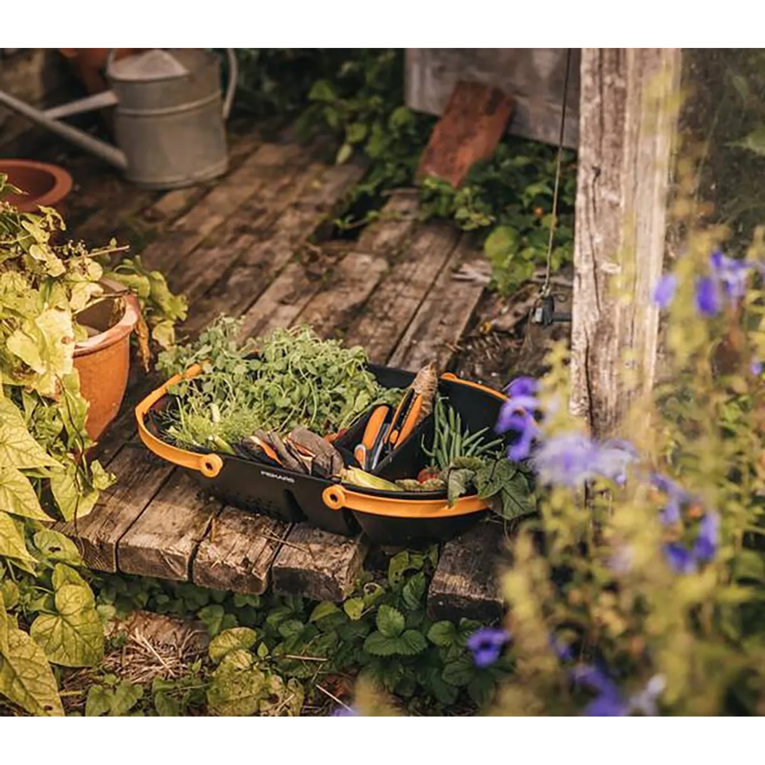 Fiskars Erntekorb Plus, schwarz-orange, gefüllt mit Gemüse und Werkzeug im Garten.