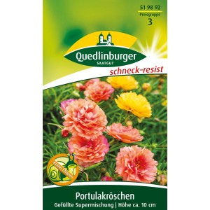 Quedlinburger Portulakröschen, gefüllte Mischung in Gelb- und Rosatönen.