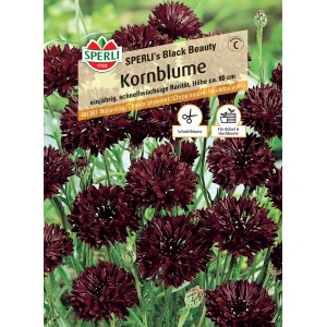 Samenpackung Sperli Kornblume 'Black Beauty' mit dunkelroten Blüten, geeignet als Schnittblume.