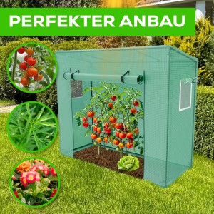 Garmio Foliengewächshaus Cutro: Tomatenzelt/Frühbeet mit Tomatenpflanze und Salat im Garten.