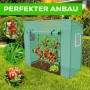 Garmio Foliengewächshaus Cutro: Tomatenzelt/Frühbeet mit Tomatenpflanze und Salat im Garten.
