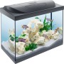 Tetra Starter Line LED Aquarium 80 l, Komplettset mit Fischen, Pflanzen und Deko.