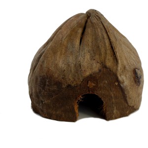 Kokoshöhle, halbiert, als Versteck für Schlangen, Insekten und Nager im Terrarium.