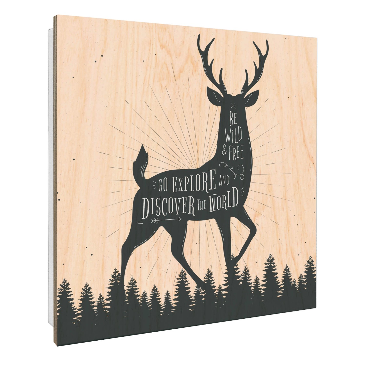 Banjado Großer Schlüsselbox Holz 30x30cm Weiß Scharnier Rechts 50 Haken Sch günstig online kaufen