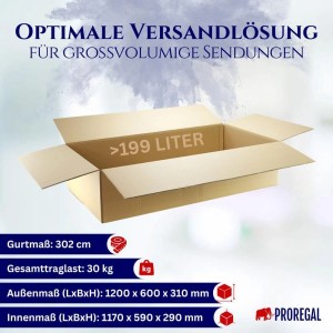 Innenansicht eines geöffneten, braunen 2-welligen PROREGAL Versandkartons. Ideal für Umzug und Versand.