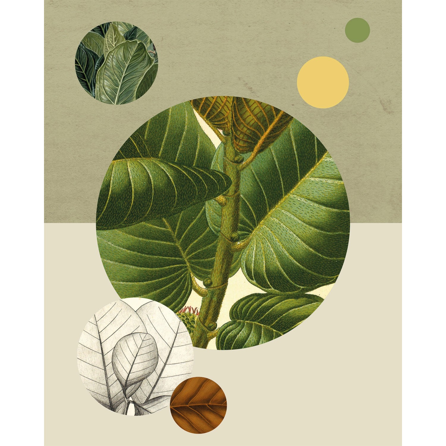 Komar Wandbild Green Structure 40 x 50 cm