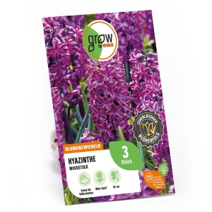 GROW by OBI Hyazinthe Woodstock Purpur, Blumenzwiebel mit violetten Blüten.