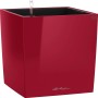 Hochglanz roter Lechuza Cube Premium Pflanzkübel 30x30 cm mit Bewässerungssystem.