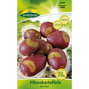Quedlinburger Pflanzkartoffel Miss Blush, 10 Stück, rosa-weiße Schale.