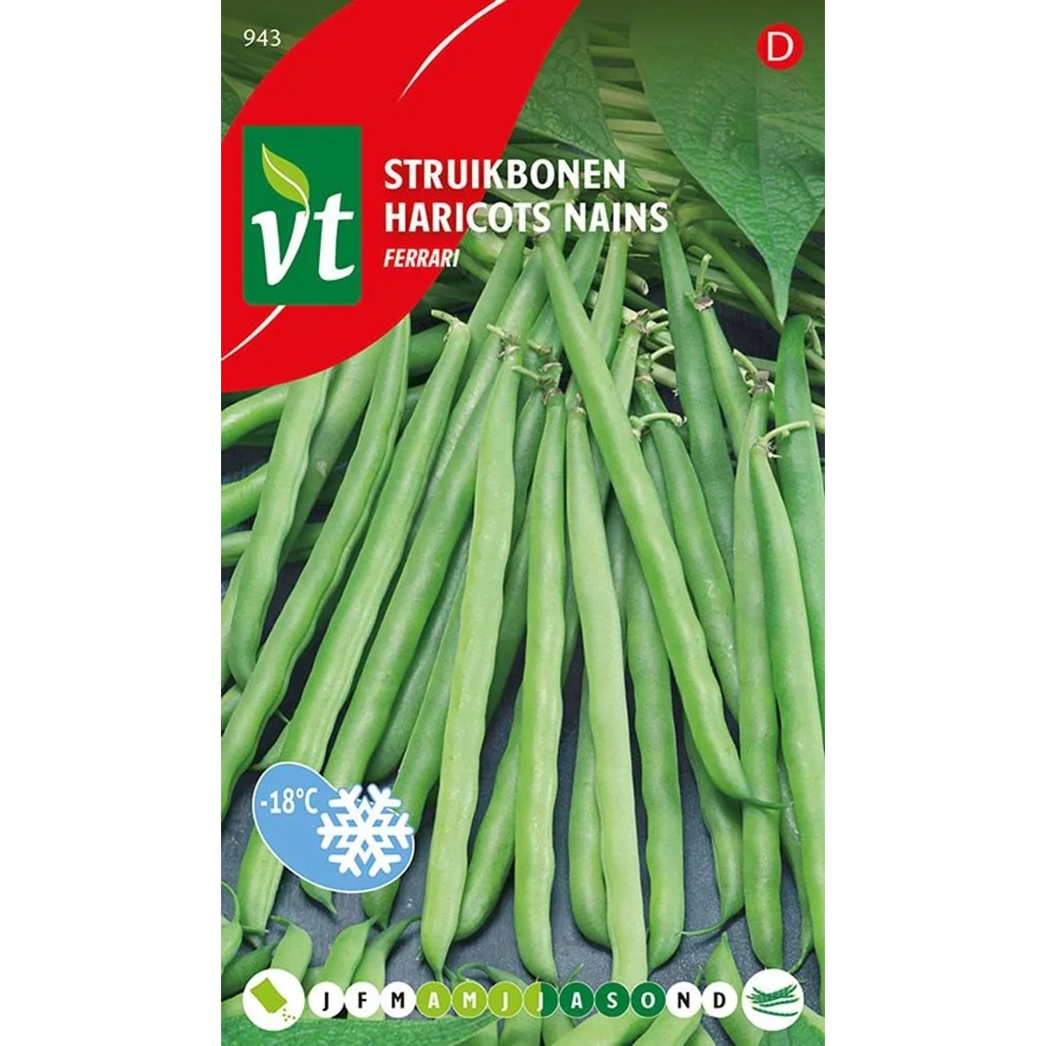 arborix Grüne Bohne Ferrari SamenCa. 50 GrHoher Bohnenertrag