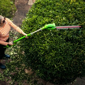 Frau schneidet Hecke mit Greenworks Akku-Teleskop-Heckenschere G40PHA. Kabellose Heckenschere für hohe Hecken.