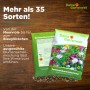 Deine Gartenwelt Sommerblumenmischung Samen, Packung mit bunten Sommerblumen.