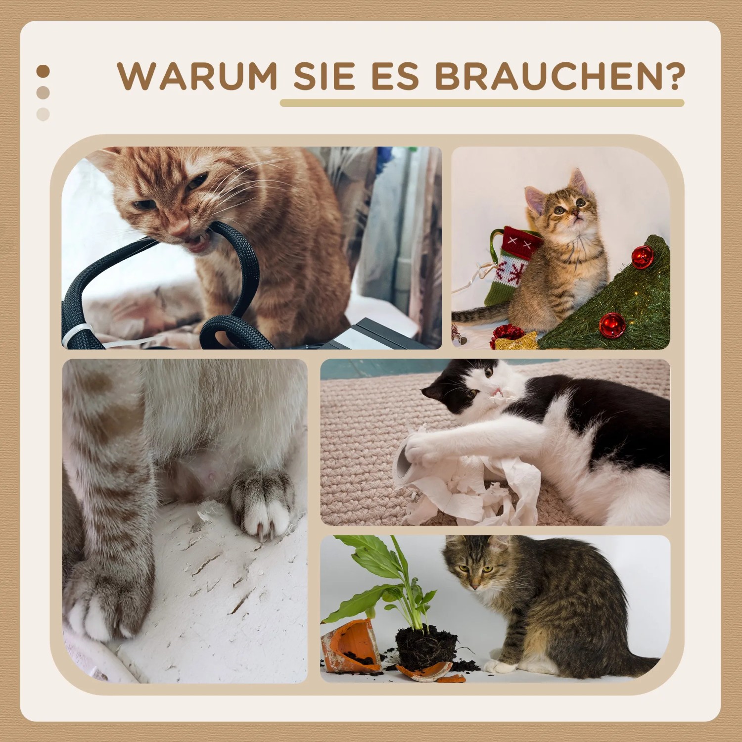 Collage: Katzen beim Spielen und Kratzen, die einen Kratzbaum benötigen.