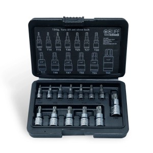 CCLIFE 13tlg Torx Bit Steckschlüsselsatz T8 - T60 Bit Set für Drehmomentschlüssel und Bohrer S2 Legierungsstahl