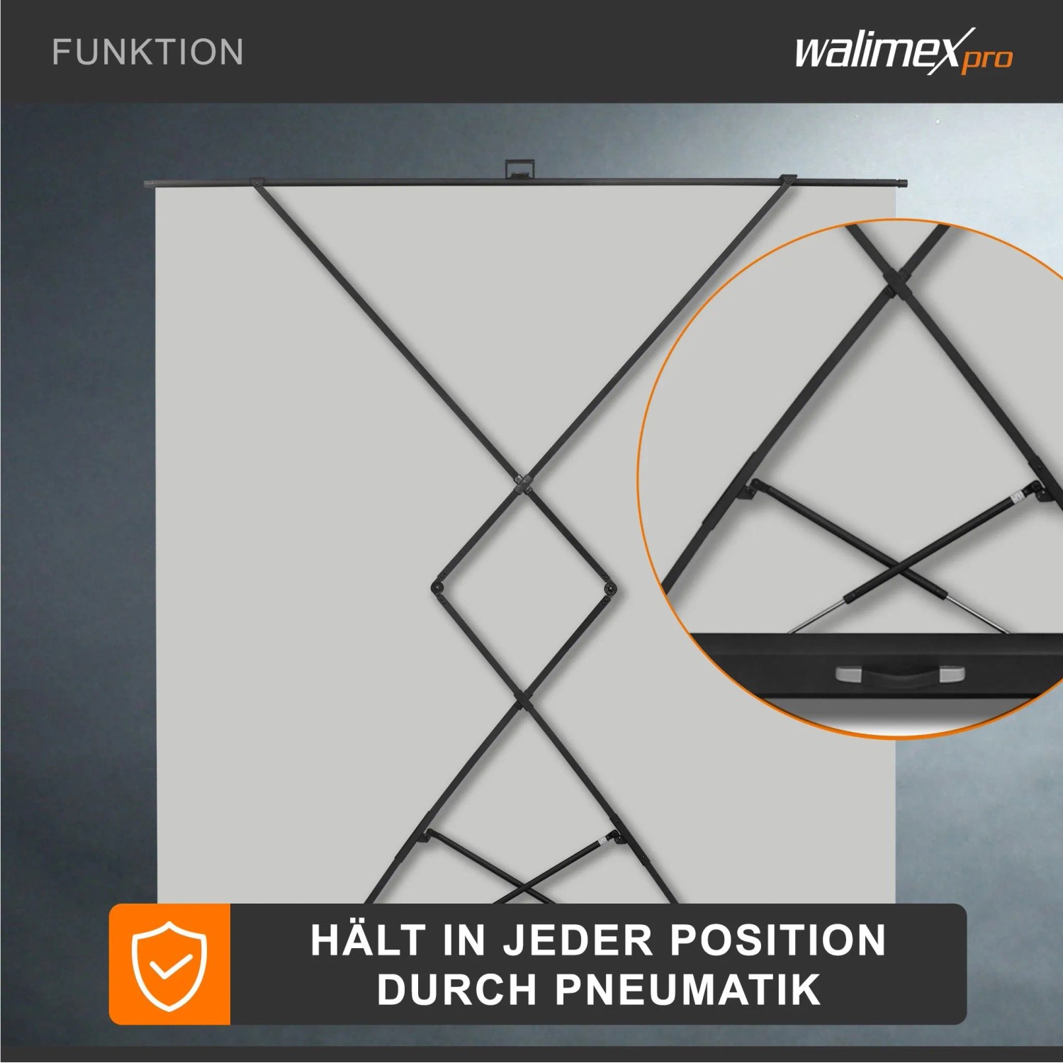 Walimex Pro Roll-Up Panel Hintergrund Grau 210X220Cm Fotohintergrund Fotostudio_4
